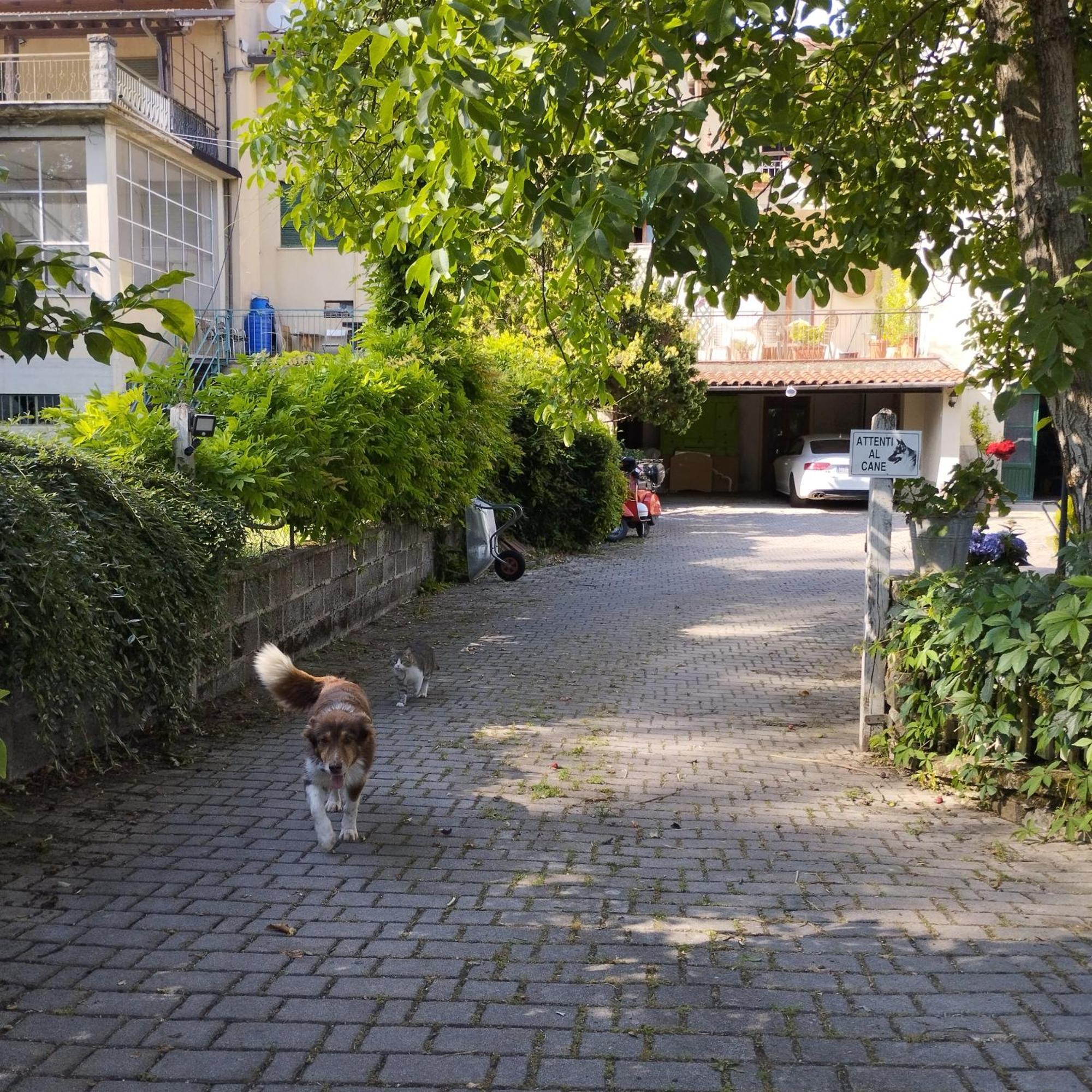 Casa Ugo Daire Poppi Dış mekan fotoğraf